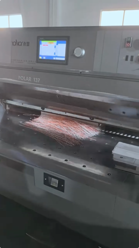 Die cutting Polar 137